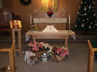 Left: A recent years' tradition of poinsettias to remember those loved ones from christmases past, and in front the rickety  creche readied with cloth strips for the baby Jesus